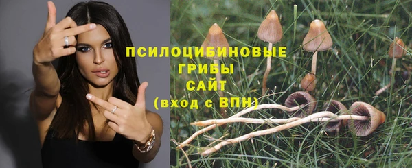ПСИЛОЦИБИНОВЫЕ ГРИБЫ Володарск